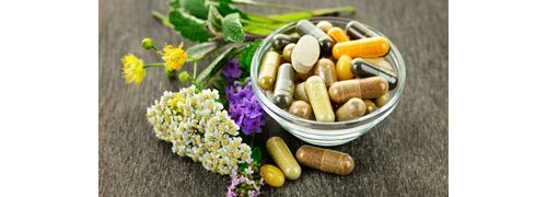 Fitoterapia Aplicada à Nutrição